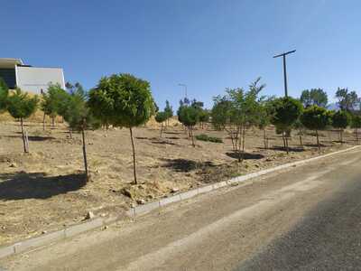 Kampüsümüzde Peyzaj ve Çevre Düzenleme yapıldı.
