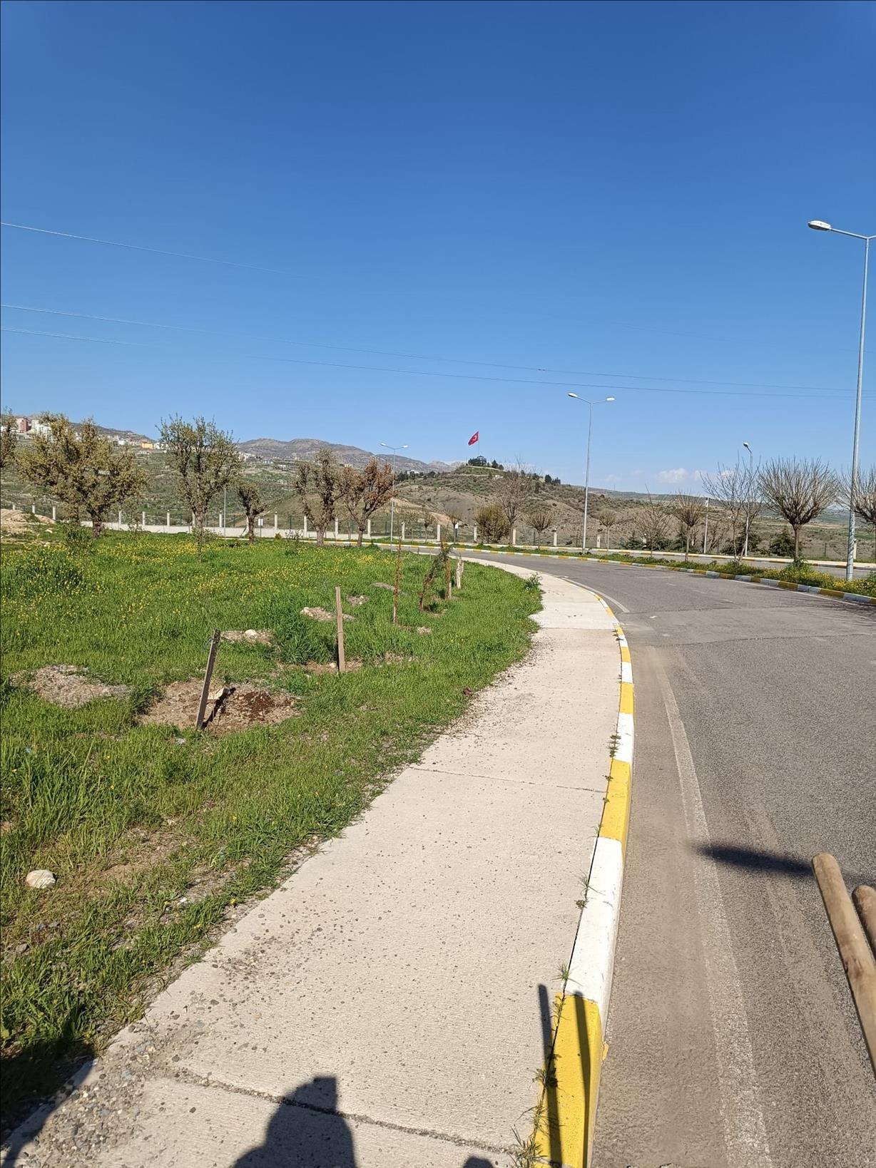 kampusumuzde-yeni-agac-fidani-ekimi-yapildi