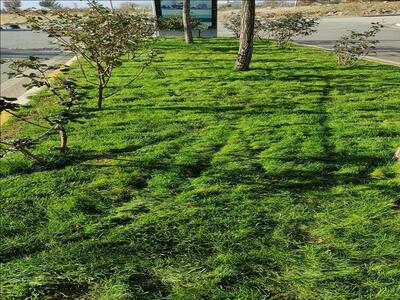 Merkez Kampüsümüzde peyzaj ve çevre düzenlemesi yapıldı.