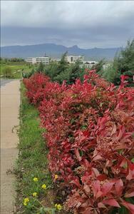 Merkezi Kampüsümüzde Bahar Mevsimi Hazırlığı