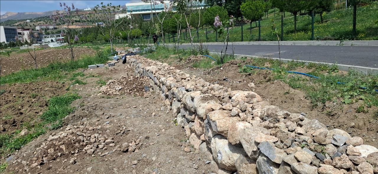universite-kampusumuzde-tas-duvar-ve-cevre-duzenleme-isi-yapildi